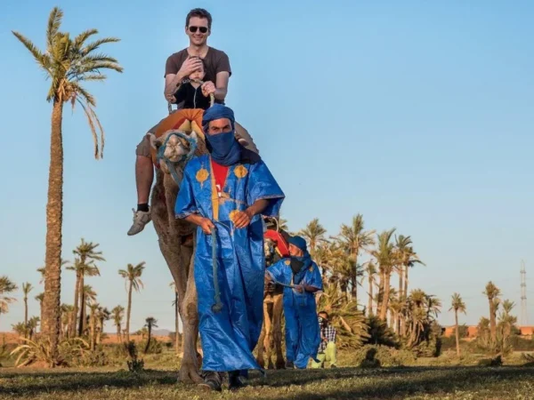 Camel Ride in Marrakech Palm Grove | Authentic Desert Experience
