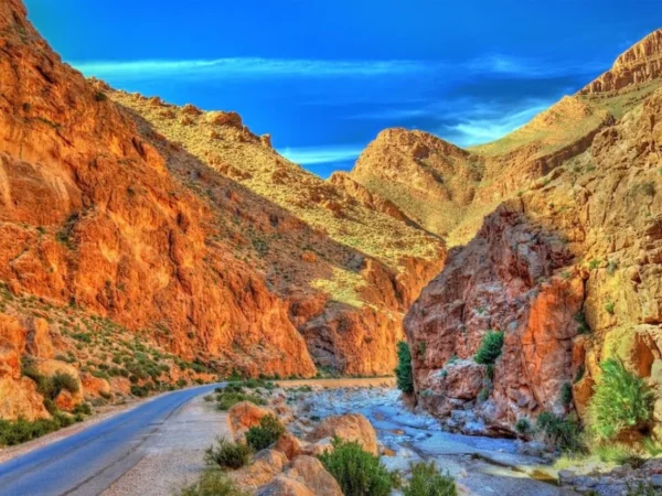 3 Day Desert Tour Marrakech to Fez | Sahara Camel Experience